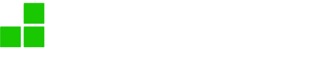 Next Level Business Consulting